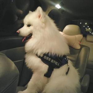 快拨出我是你母亲的歌曲播放电影
