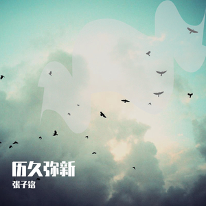 快拨出我是你母亲的歌曲播放电影
