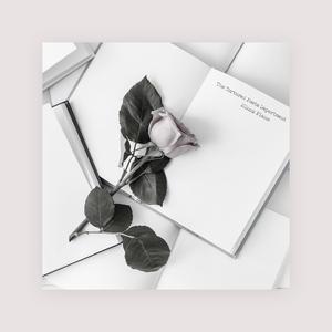 快拨出我是你母亲的歌曲播放电影
