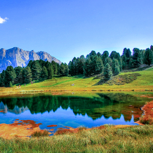 快拨出我是你母亲的歌曲播放电影
